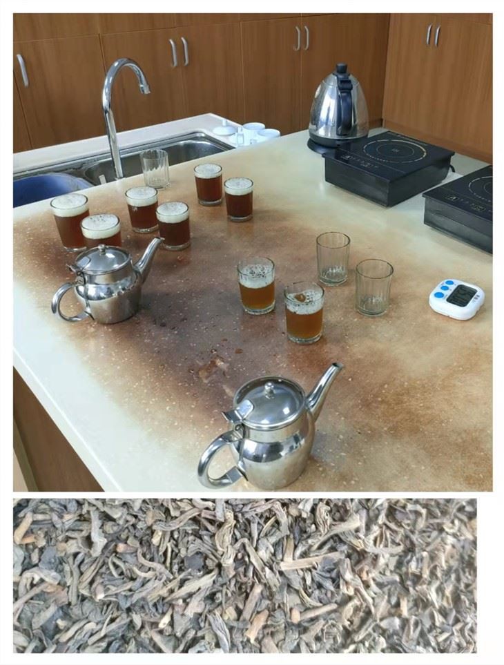 cheap Chunmee Tea