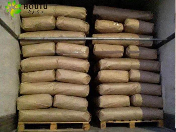 Maroc Sultan Green Tea Leaves factory 