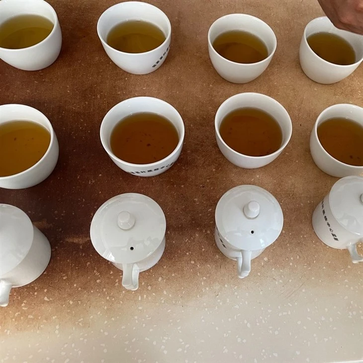 Flavors Of China Green Tea best