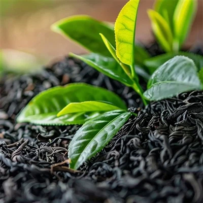 Overview Of China's Tea Imports And Exports From January To November 2025