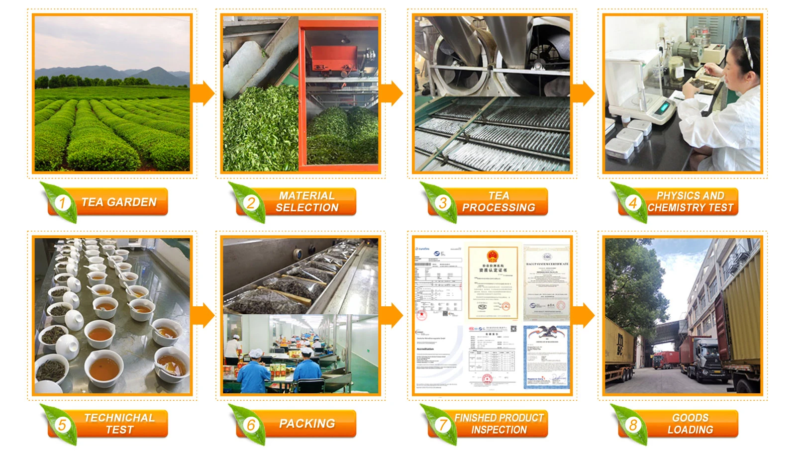 hoututea production process .jpg hoututea production process .jpg
