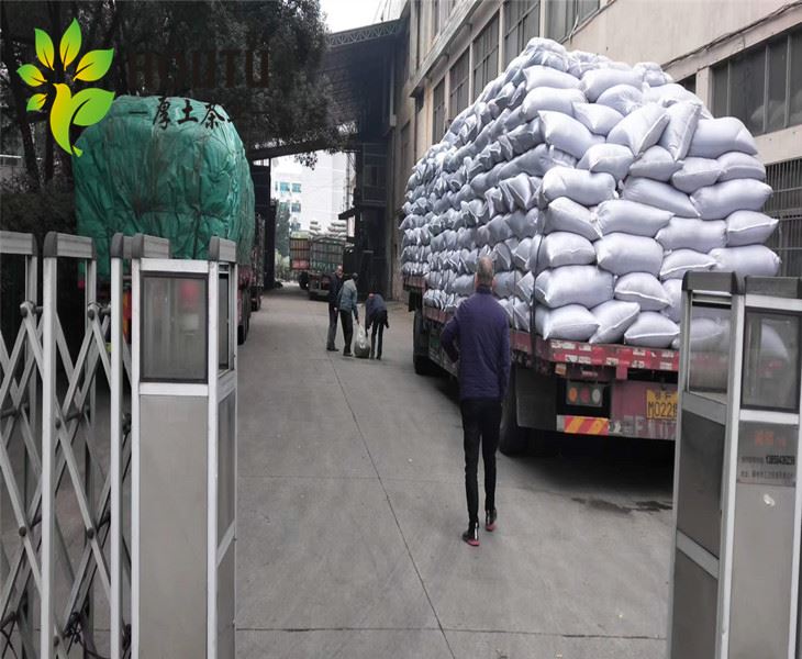 Chinese Gunpowder Green Tea bulk packing 9375 manufacturer